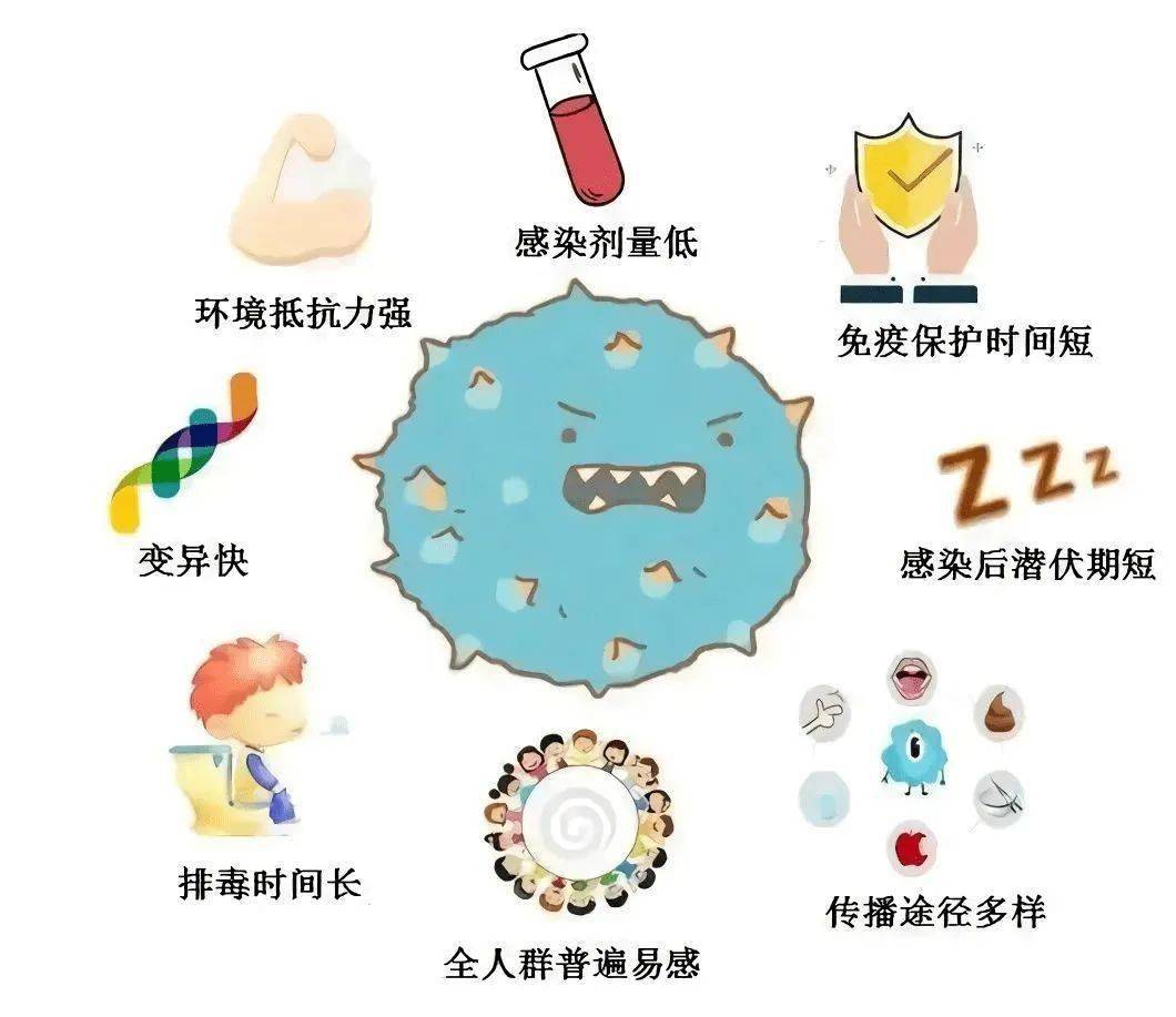 最新病毒症状解析，全面防范与预防措施指南